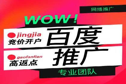 百度竞价优化技巧：实战案例深度剖析